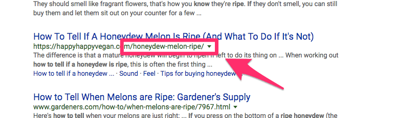 Dans cette recherche sur comment dire si un melon est mûr , un article en particulier a une URL claire et simple.